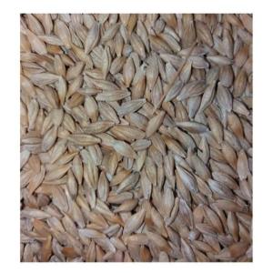 Wholesale organic foods: Barley Grains Healthy Food Animal Feed for Animals Natural Wholesale Bulk Organic Non-GMO Cereal Gra