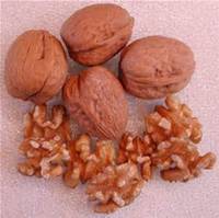 100% Organic and Natural Walnut for Sale