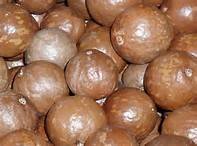 Raw Macadamia Nuts - Best Prices