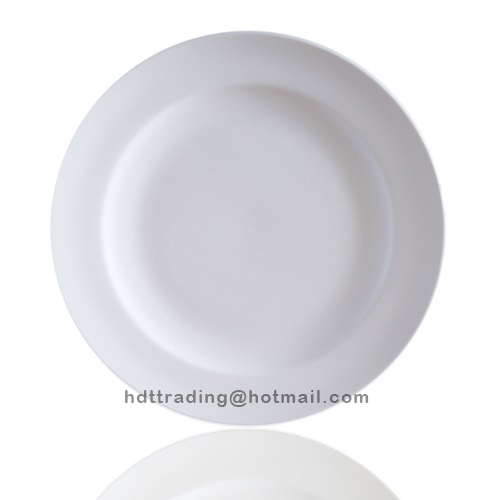 White Porcelain Dinnerware Round Plates