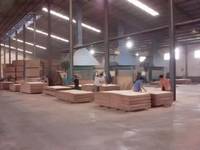 Veneer Plywood  Production Line
