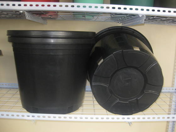 Plastic Nursery Pots Tree Id 4118137 Product Details Plastic Nursery Pots Tree Image