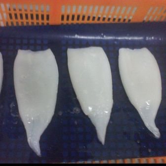 Squid Tube(id:4124382) Product details - View Squid Tube from Good Sea ...