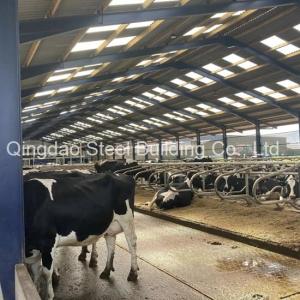 Wholesale z type steel purlin: Prefab Steel Structure Metal Buildings Cow Farms House Dairy Farms Cattle Shed