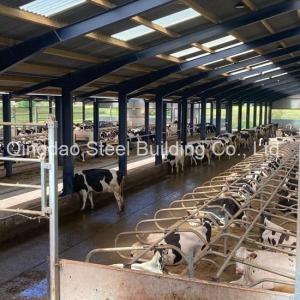 Wholesale steel workshop: Design High Quality Light Steel Structure Workshop Building Steel Structure Cow House