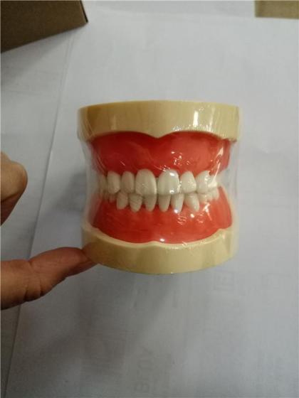 Sell different dental models