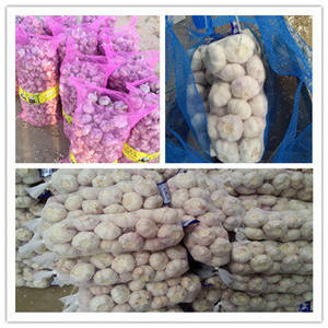 Wholesale 5.5 in phones: 2014 Fresh New Crop White Garlic As A Wholesale Supplier and Exporter in China