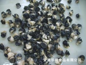 Wholesale snail: Frozen Boiled Mud Snail Meat