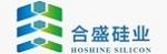 Zhejiang Hoshine Silicon Industry Company Logo