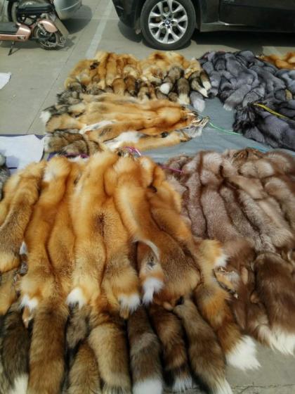 Sell Fox Fur