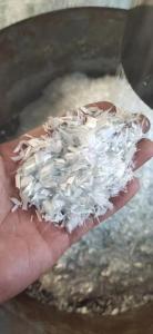 Wholesale asbestos yarn: Cut Glass Fiber Into Shreds