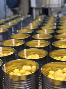 Wholesale cabinet to go: Canned Yellow Peach