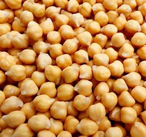 Wholesale Other Oil Seeds: Yellow Peans