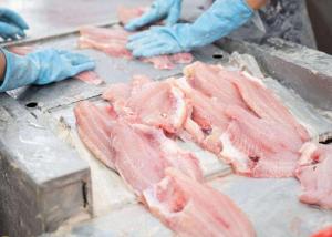 Wholesale pangasius: Pangasius Fillet Size 200UP with High Quality, Competitive Price and On Time Delivery
