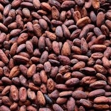 Wholesale Chocolate Ingredients: Cocoa Beans