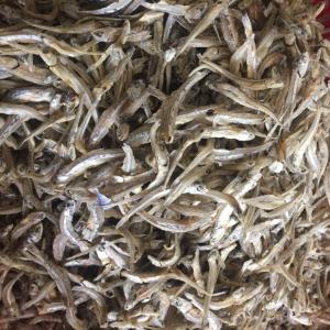 Wholesale Fish: 100% Open Air Dried Kapenta Fish for Sale