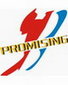 Qingdao Promising International Co.,Ltd Company Logo