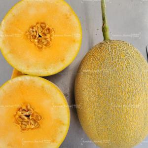 Wholesale firming: M656 Orange Big Firm Ananans Melon Variety