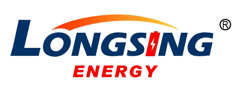 Long Sing Technology Group Hong Kong Limited Company Logo