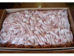 Wholesale frozen: Top Quality Processed A Grade Frozen Chicken Feet and Paws