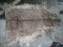 Wholesale salted dry donkey hides: Dry and Wet Salted Donkey/Goat Skin /Cow Hides/Cow Heads