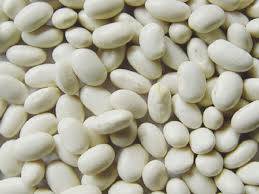 Wholesale food ingredient: Pure White Kidney Bean Powder, White Kidney Bean Extract Powder