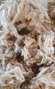 Wholesale competitive price: Raw Wool for Carpet