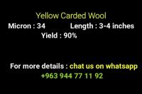 Selling All Types of Raw Wool for Carpet Grade