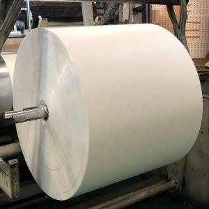 Wholesale offset printing paper: White PE Coated Paper Roll