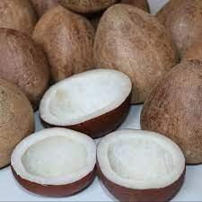 Sell Dry Coconut Copra