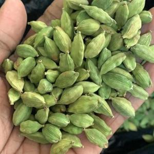 Wholesale Spices & Herbs: Green Cardamom Spices, Seeds