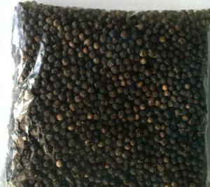 Wholesale black: Black Pepper Spice From India