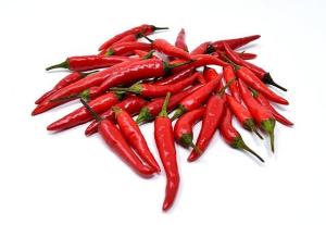 Wholesale chilli: Dry Red Chilly