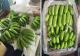 Fresh Fruits, Cavendish Banana, Hass Avocado, Bananas Green, Pear, Apple, Citrus, Valencia Orange