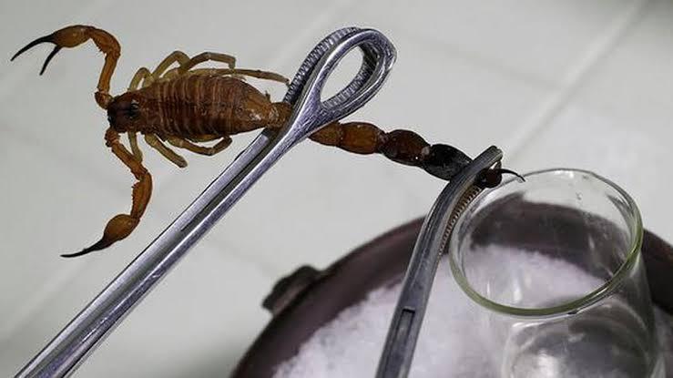 Liman Usman Global Services Ltd