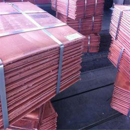 Wholesale plate: Copper Plate Is Commonly Known As the Copper Dollar