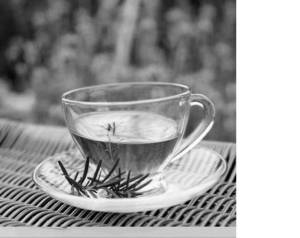 Wholesale darjeeling: Darjeeling Tea Organic and Ctc