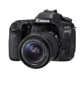 Wholesale sd flash card: Nikon D750 24.3 MP Digital SLR Camera
