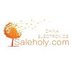 Saleholy Electronics Technology International Trade Co., Ltd Company Logo