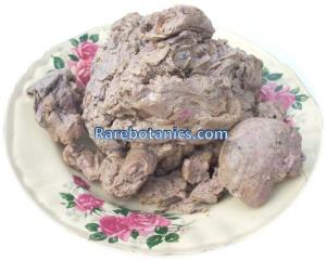 Wholesale gum: Asafoetida Gum, Paste and Compounded