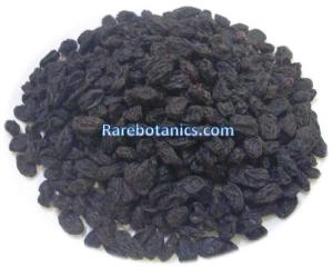Wholesale Dried Food: Black Raisins