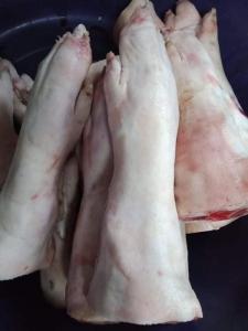 Wholesale brazilian: Frozen Brazilian Pork Hind Feet, Short Cut
