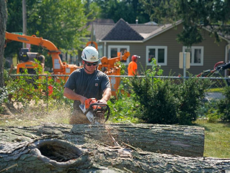 Rausch Tree and Outdoor Services