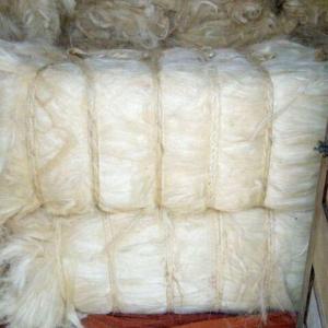 Wholesale high purity: High Quality/Purity 100% Natural Sisal Fiber / Sisal Fibre BEST PRICES
