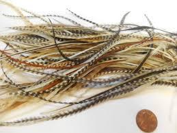 Wholesale kit: Grizzly Rooster Feathers