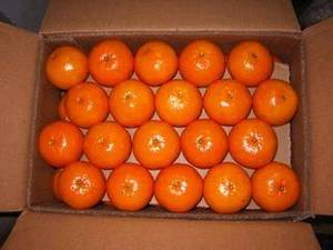 Wholesale kinnow mandarin: Kinnow Mandarin