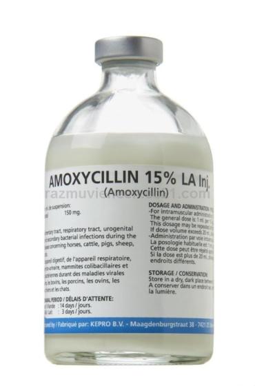 does doxycycline have penicillin in it