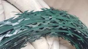 Wholesale barbed concertina wire: PVC Coated Concertina Wire
