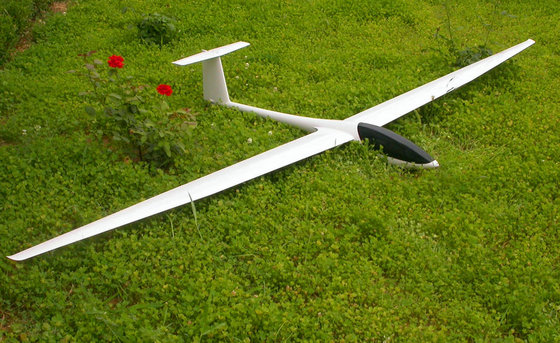 large scale rc gliders
