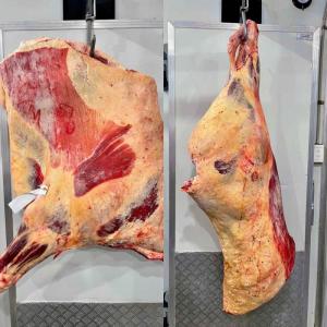 Wholesale ship: Full Carcass 1/4, 1/2, Red Meat, Whole Beef From Canada 100% Grass Fed
